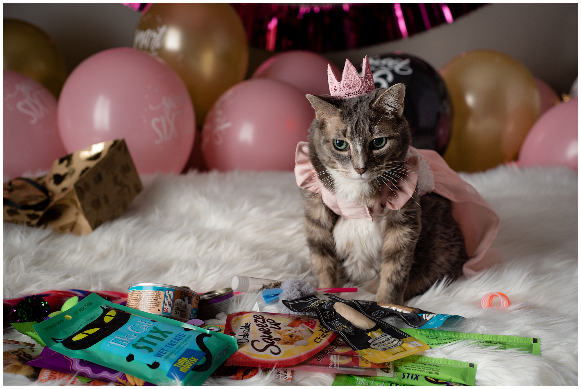 a sweet sixteen cat sitting with her birthday presents there are balloons in the background