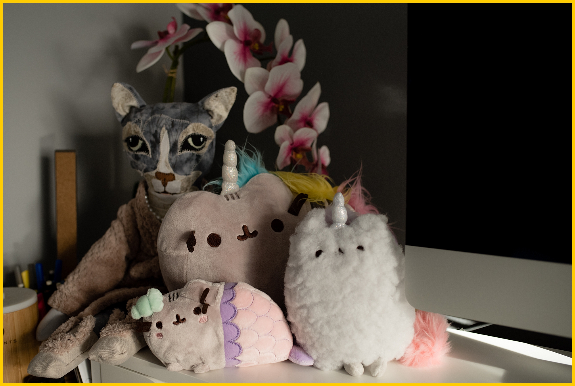 starting a successful photography business includes having a pile of plushies on your desk, obviously.