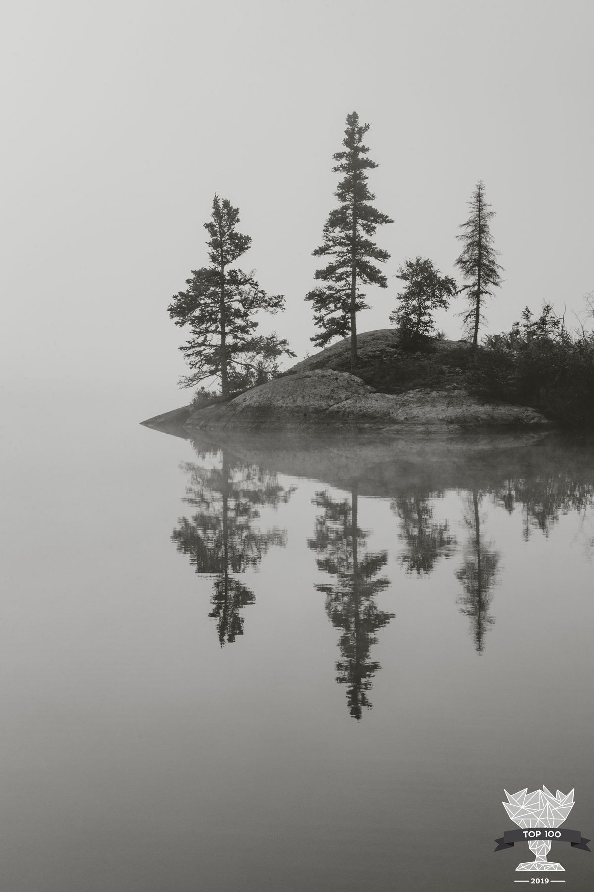 shoot and share contest top 100 photograph of reflection of four trees on the water, horizon obscured by fog, water is still as glass