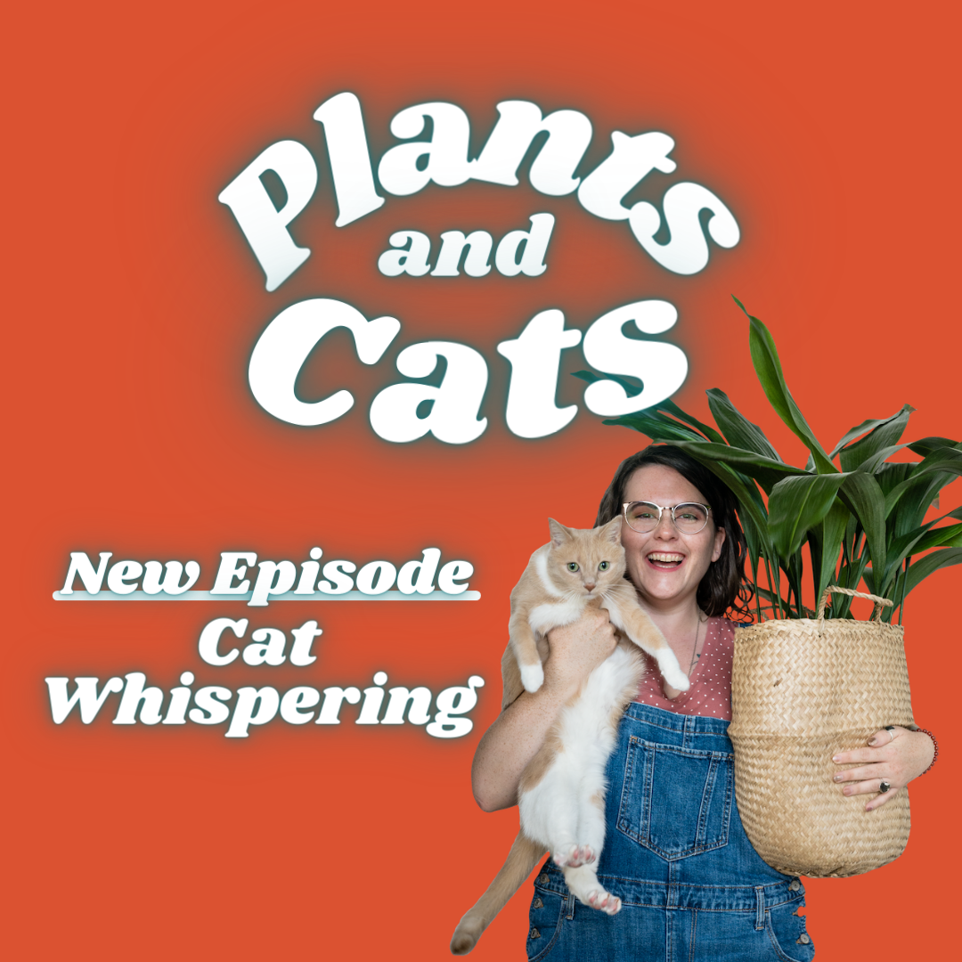 a woman is holding a plant in a basket under one arm and a cat under the other, a title card reads plants and cats podcast